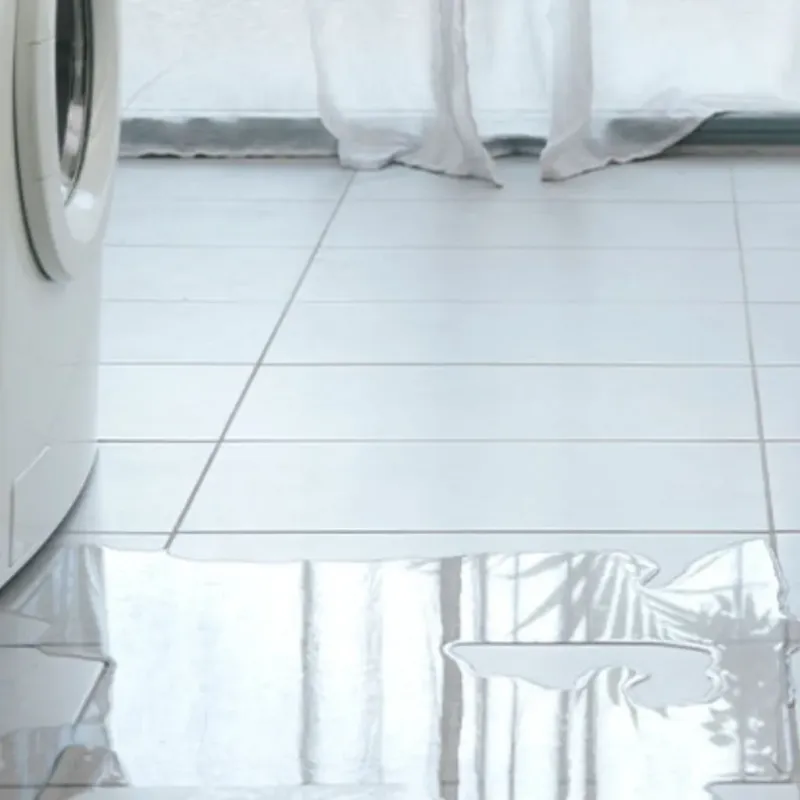Appliance Leak Cleanup in Gardner, IL