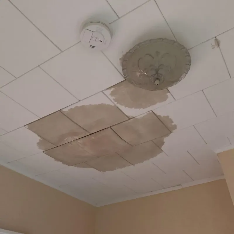 Ceiling Water Damage Repair in Gardner, IL