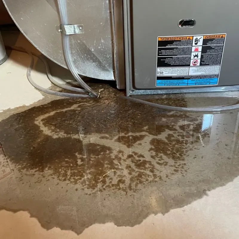 Pipe Burst and Leak Restoration in Gardner, IL
