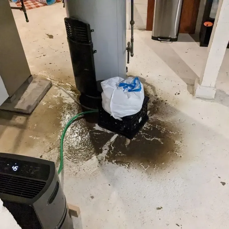 Sewage Backup Cleanup Service in Gardner, IL
